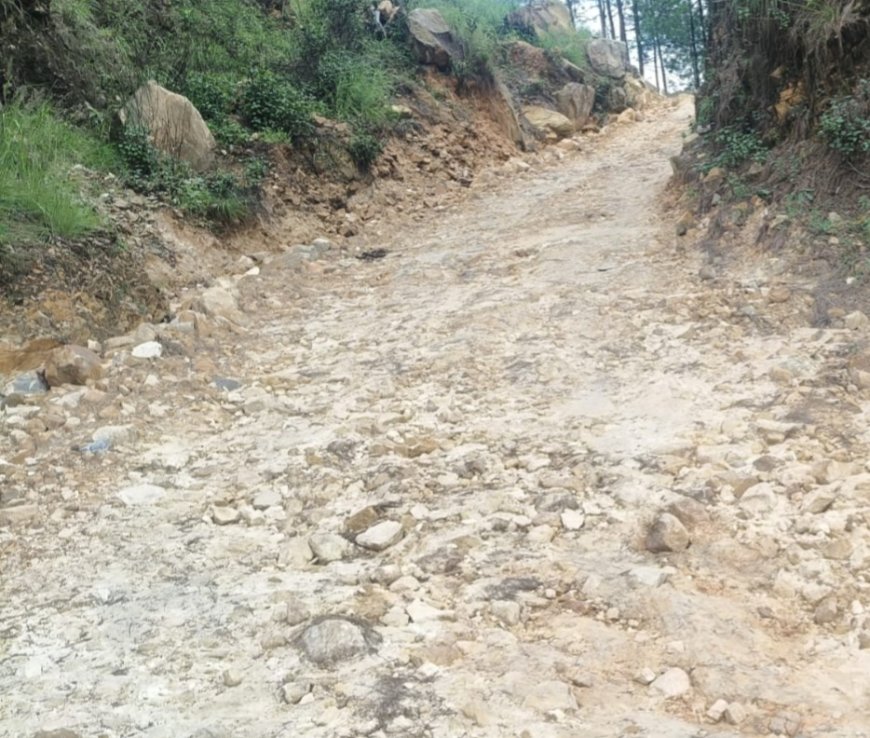 ग्रामीणों ने दो दशकों से बदहाल सड़क के खिलाफ मानव श्रृंखला बनाई, डामरीकरण की मांग तेजी से बढ़ी
