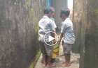 सरकारी स्कूल में छोटे बच्चों से भारी काम: नाजुक हाथों से उठवाई गई पानी से भरी बाल्टी, वीडियो सामने आने के बाद उठे सवाल