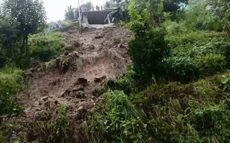उत्तरकाशी के उडरी गांव में भारी भूस्खलन, पांच घरों को नुकसान; बाल-बाल बचे ग्रामीण