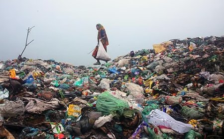 स्वच्छ एवं कचरा-मुक्त उत्तराखंड की दिशा में मजबूत पहल, नए नियमों के क्रियान्वयन पर जोर