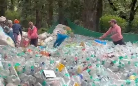 Hemkund Sahib और फूलों की घाटी में सफाई अभियान, अब तक 22 हजार से ज्यादा प्लास्टिक बोतलें जुटाईं