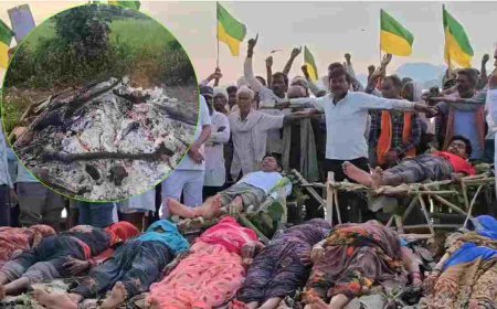 ‘चिता आंदोलन’ के बीच जली असली चिता: वृद्ध महिला की मौत, केन-बेतवा परियोजना के विरोध में कर रही थी प्रदर्शन