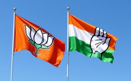11 से 33 तक पहुंचा निर्विरोध बोर्ड का आंकड़ा, राजस्थान निकाय चुनाव में किसके खाते में कितने बोर्ड?