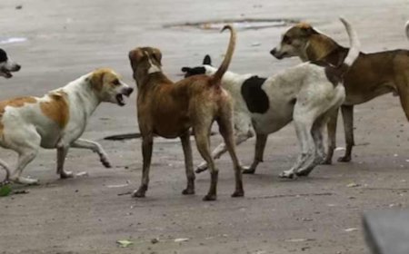 रास्ते में मौत से मुलाकातः दोस्तों के साथ मेला घूमकर लौट रहा था 7 साल का मासूम, फिर उसके साथ जो हुआ जानकर कांप उठेगी रूह