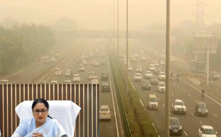 दिल्ली सरकार ने जारी किया विंटर एक्शन प्लान 2026-27, बाहर की गैर-BS-VI गाड़ियों पर रोक