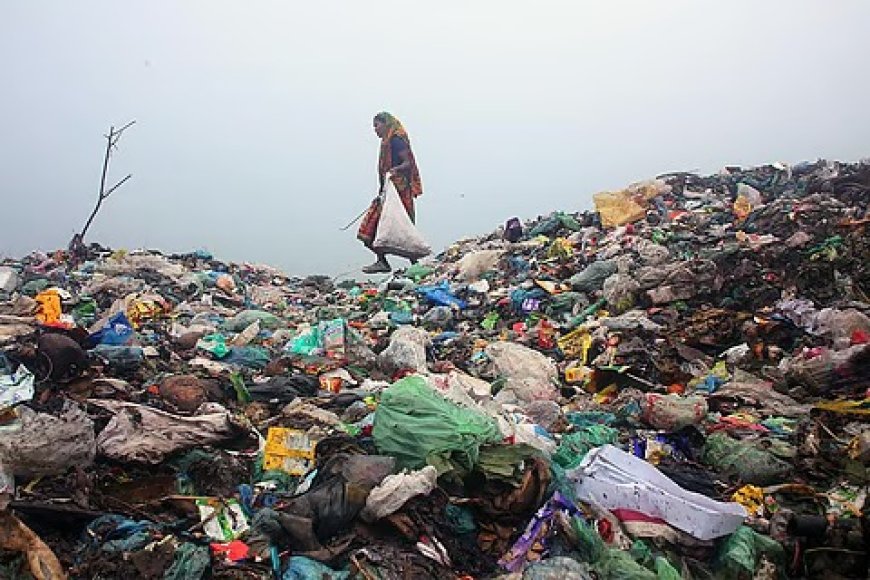 स्वच्छ एवं कचरा-मुक्त उत्तराखंड की दिशा में मजबूत पहल, नए नियमों के क्रियान्वयन पर जोर