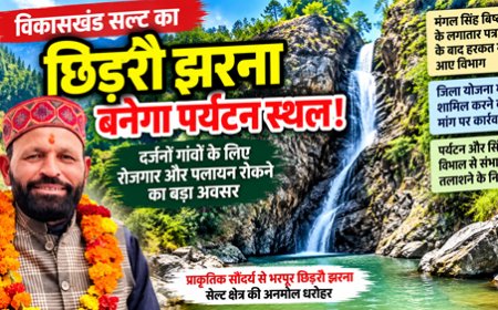 सल्ट के छिड़रौ झरने को पर्यटन स्थल बनाने की पहल तेज, जिला योजना में शामिल करने की मांग