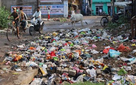 Raipur News: 4 दिन से सफाई कार्य बंद, ठेकेदार पर 10 हजार का जुर्माना, ठेका निरस्त करने की चेतावनी