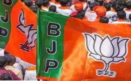 अल्पसंख्यक मोर्चा की नई टीम घोषित, 27 जिलाध्यक्षों समेत प्रदेश पदाधिकारियों की नियुक्ति