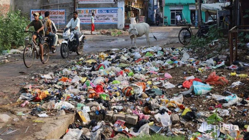Raipur News: 4 दिन से सफाई कार्य बंद, ठेकेदार पर 10 हजार का जुर्माना, ठेका निरस्त करने की चेतावनी