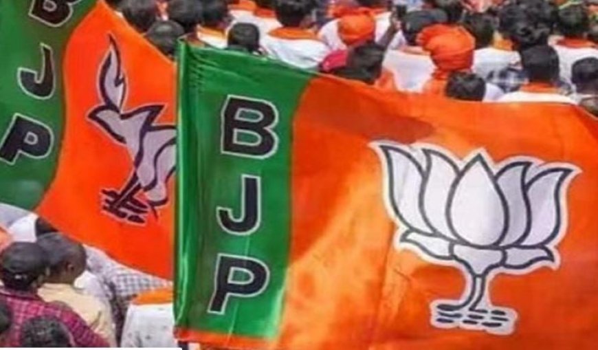 अल्पसंख्यक मोर्चा की नई टीम घोषित, 27 जिलाध्यक्षों समेत प्रदेश पदाधिकारियों की नियुक्ति